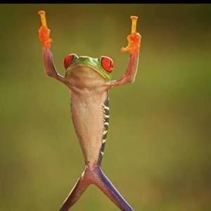 Meet your Posher, Sharlein mika